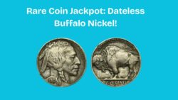 Dateless Buffalo Nickel Fetches Stunning $750K at Auction