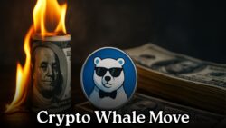 Arctic Pablo Meme Coin Fever: Whales Rush to Buy Before Listing!
