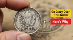 Collectors Go Crazy Over This Nickel After TikTok Video – Here’s Why