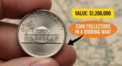 The Strange Extra Leaf on This 2005 Nickel That Has Coin Collectors in a Bidding War