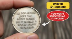 This Dollar Coin Looks Like Pocket Change But Is Actually a Hidden Fortune in Disguise